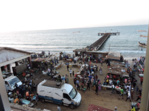 B&C Educational Gambian Study Visit - The busy fish market at Bakau